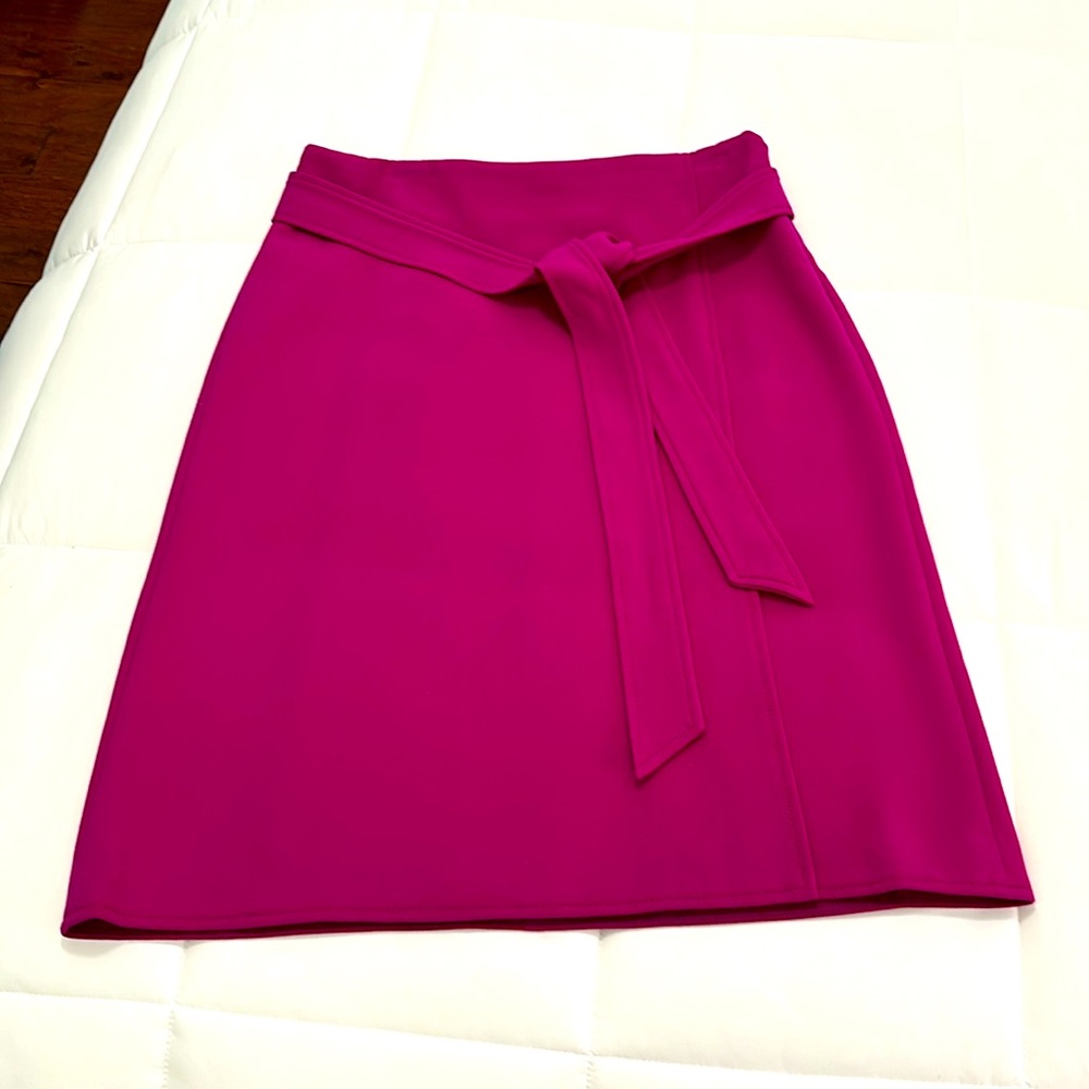 Ann Taylor Fuschia Midi Skirt Sz 10